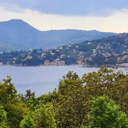 Private Parking, Seaview, Living Terrace Appartamento Zoagli