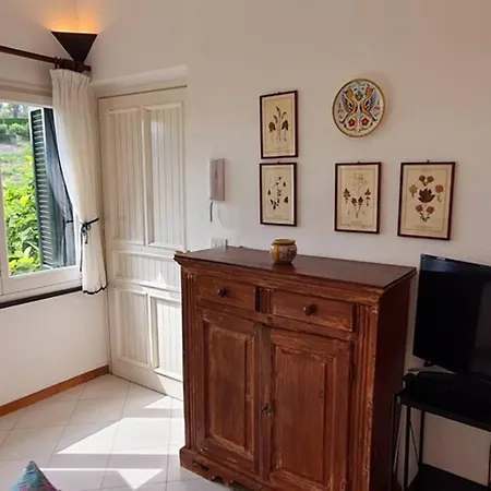 Private Parking, Seaview, Living Terrace